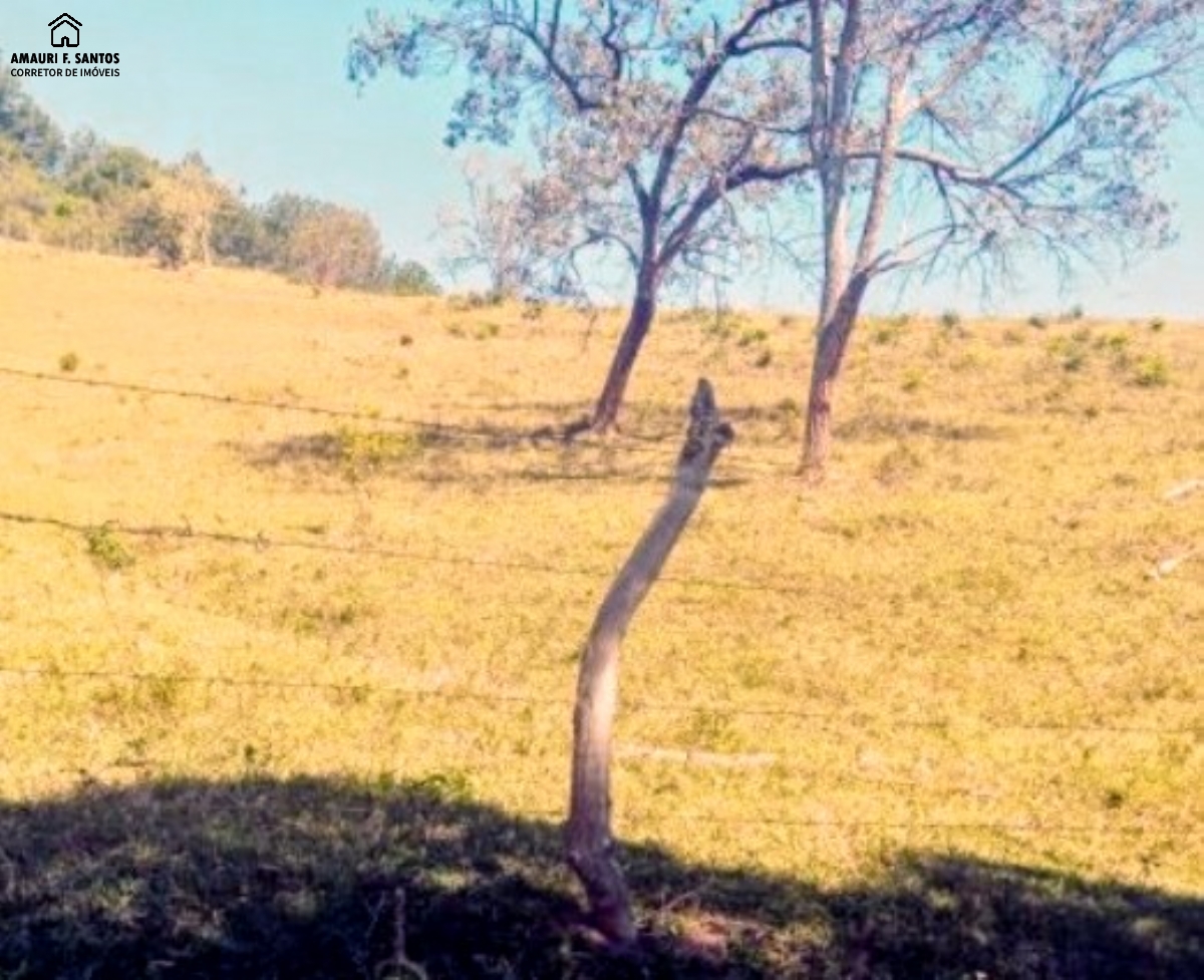 Sítio em , São Roque - Foto 22